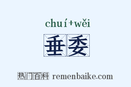 垂委是什么意思的图片